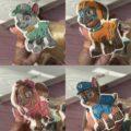 IMG_0173 pawpatrul5