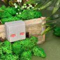 IMG_7736-scaled-1.jpg Скриня пригод Minecraft