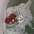 photo_2023-12-07_13-07-13.jpg Бомбочка для ванни "Новорічне Авто"